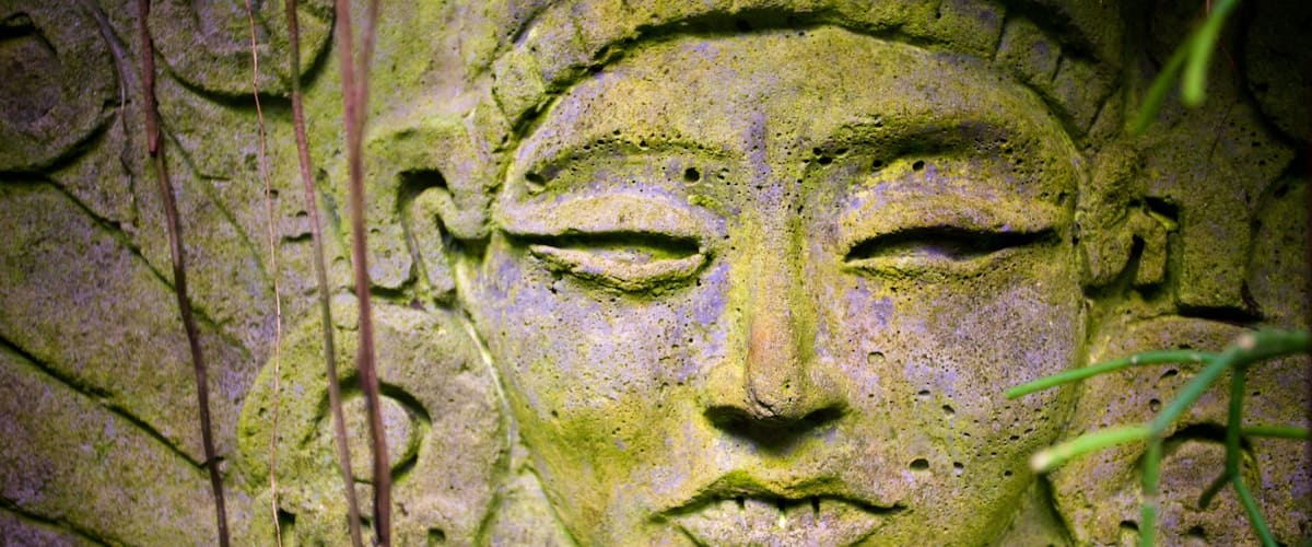 Marie Selby Botanical Gardens featuring outdoor art