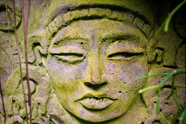 Marie Selby Botanical Gardens which includes outdoor art