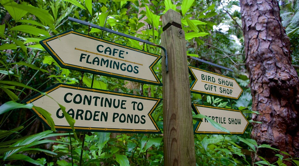 Sarasota Jungle Gardens qui includes jardin et signalisation