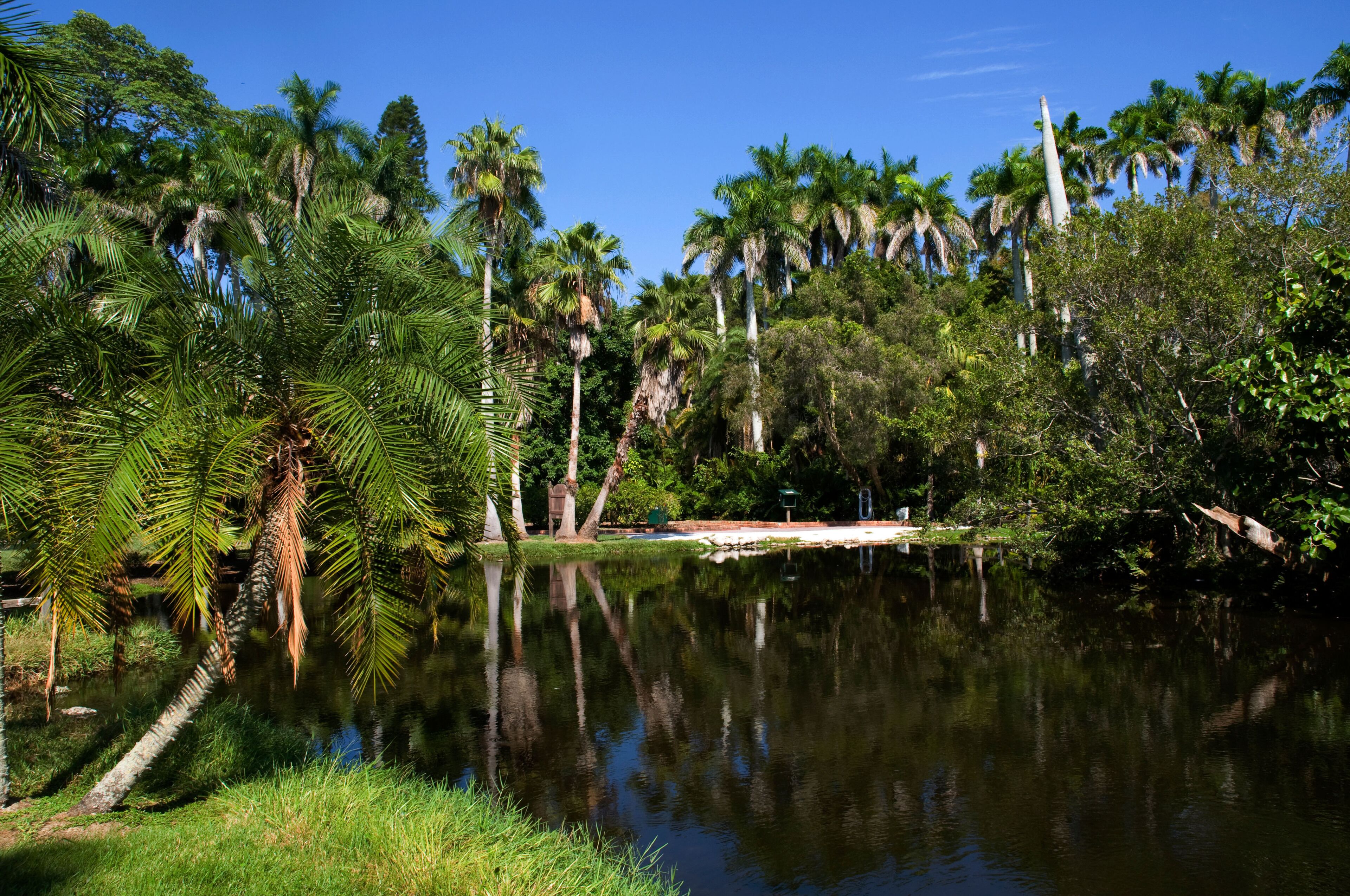 C1EHE0 Sarasota Jungle Gardens Florida Sarasota USA