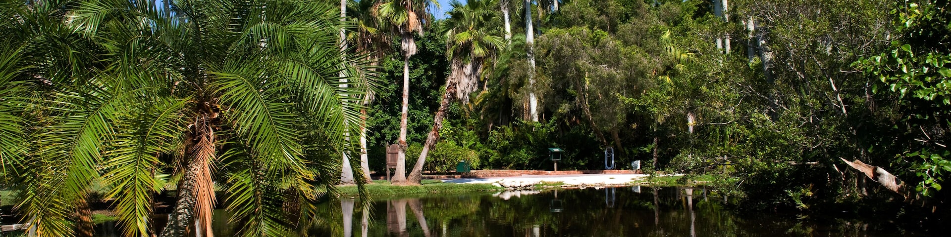 C1EHE0 Sarasota Jungle Gardens Florida Sarasota USA