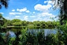 Myakka River State Park