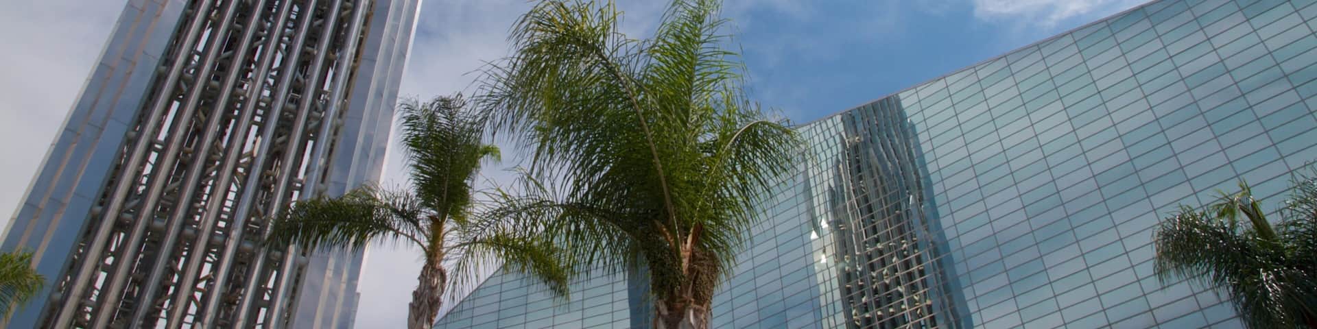 Crystal Cathedral which includes religious aspects, a city and a church or cathedral