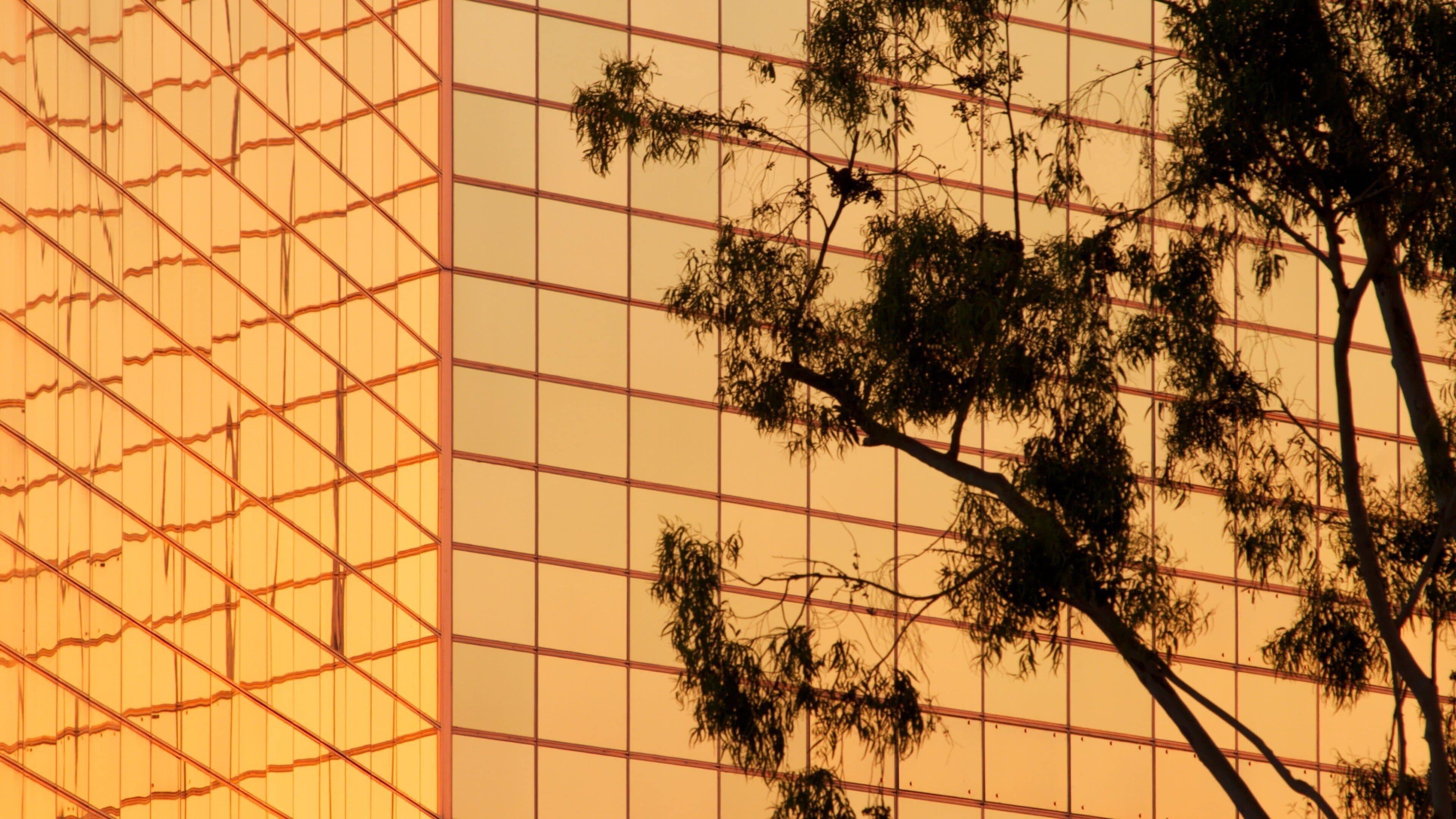 Crystal Cathedral which includes religious aspects and a city