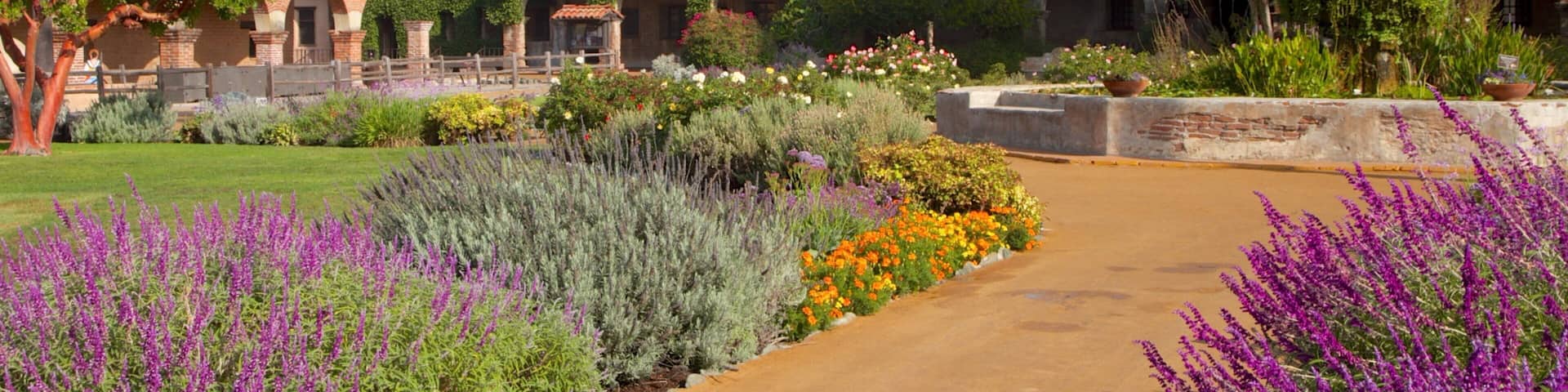 Mission San Juan Capistrano welches beinhaltet Wildblumen, Blumen und religiöse Aspekte