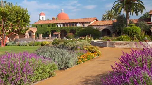 Mission San Juan Capistrano showing landscape views, flowers and religious aspects