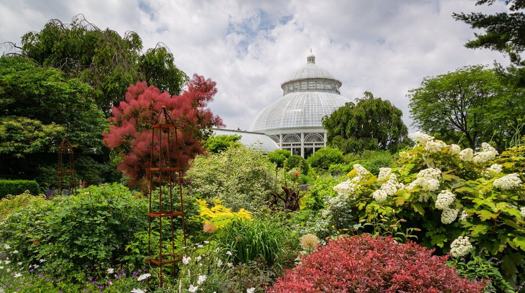 New York Botanical Gardens featuring wildflowers and a garden