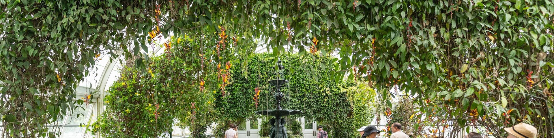 New York Botanical Gardens featuring a fountain, interior views and a garden