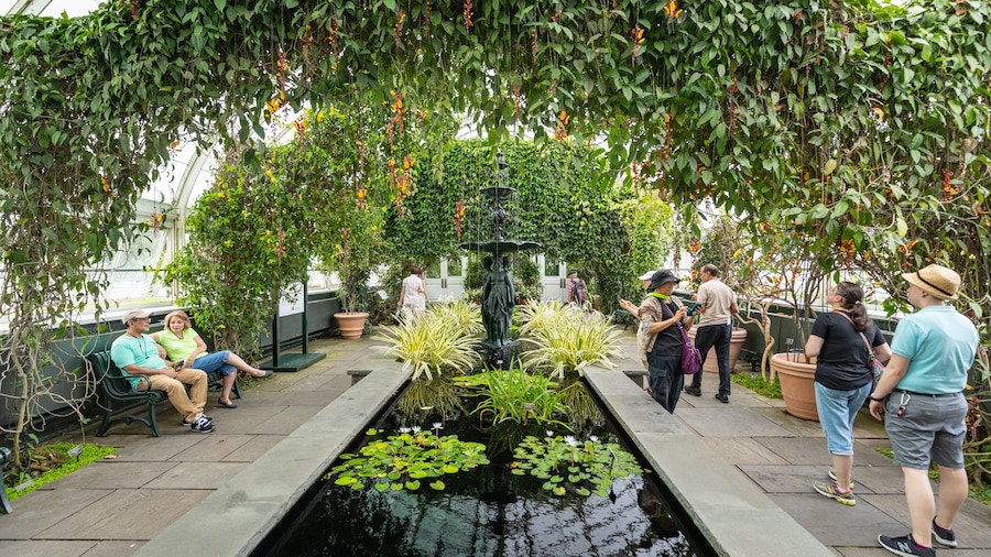 New York Botanical Gardens featuring a fountain, interior views and a garden