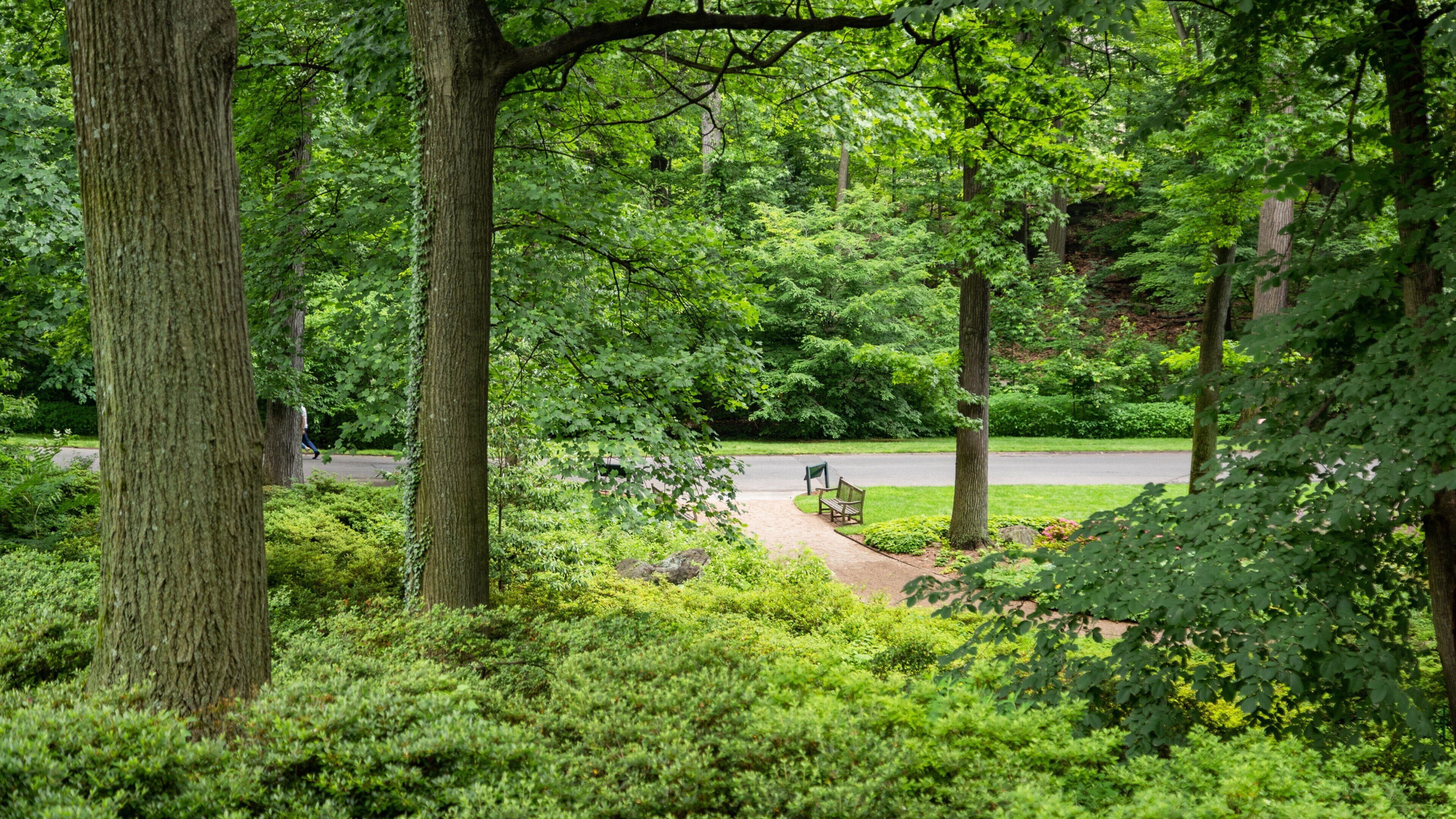 New York Botanical Gardens featuring a park