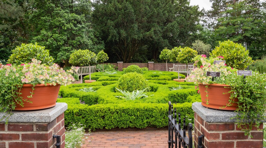 New York Botanical Gardens featuring a park