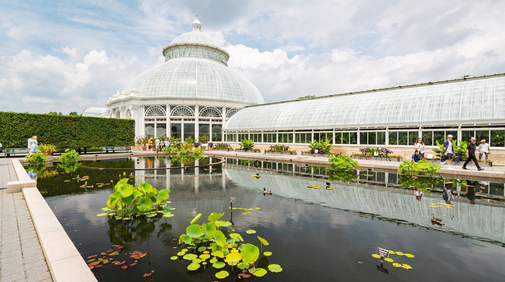 New York Botanical Gardens showing a pond and a garden