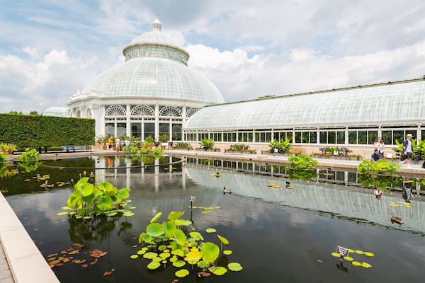 New York Botanical Gardens showing a pond and a garden