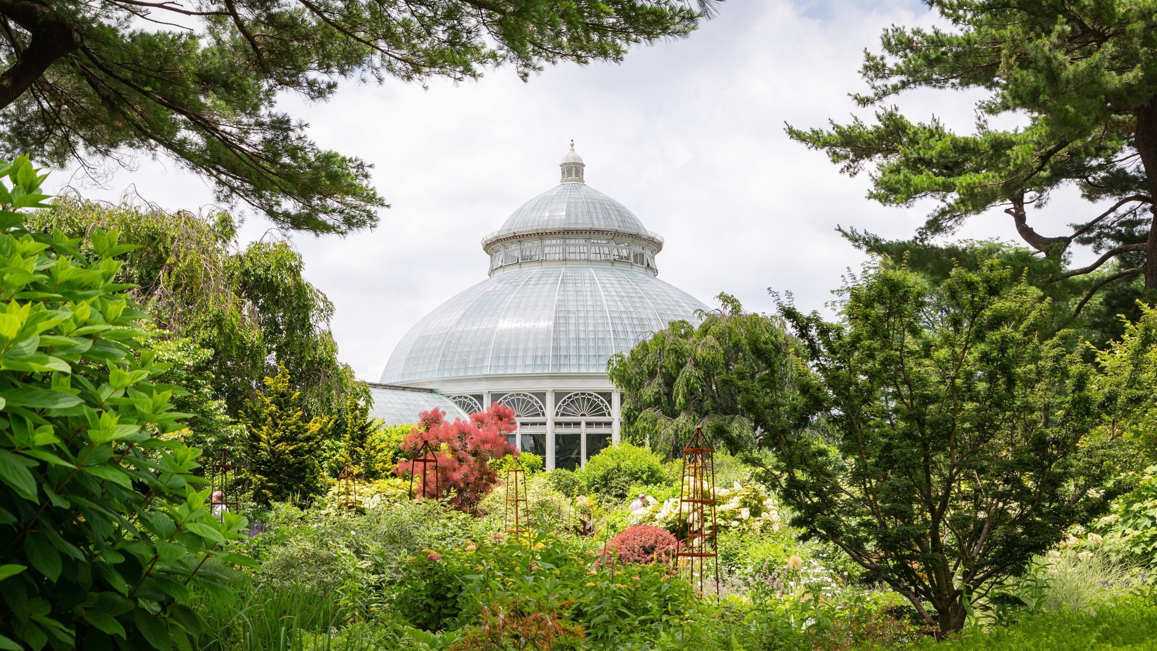 New York Botanical Gardens showing a park