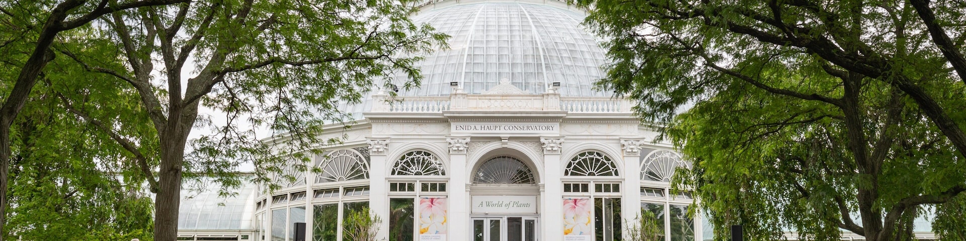New York Botanical Gardens showing a garden as well as a large group of people