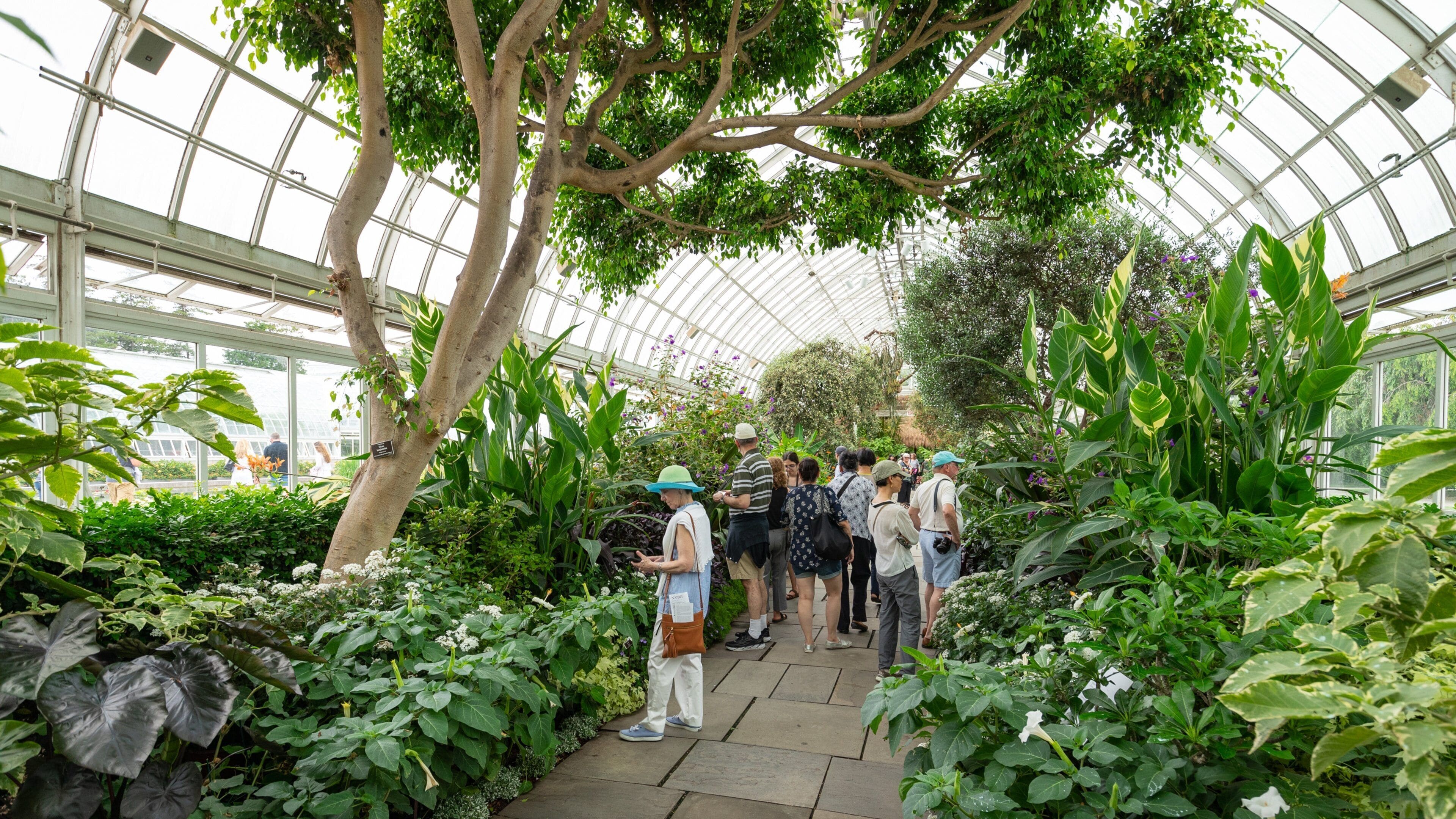 New York Botanical Gardens showing a park and interior views as well as a small group of people