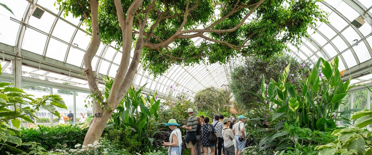 New York Botanical Gardens showing a park and interior views as well as a small group of people