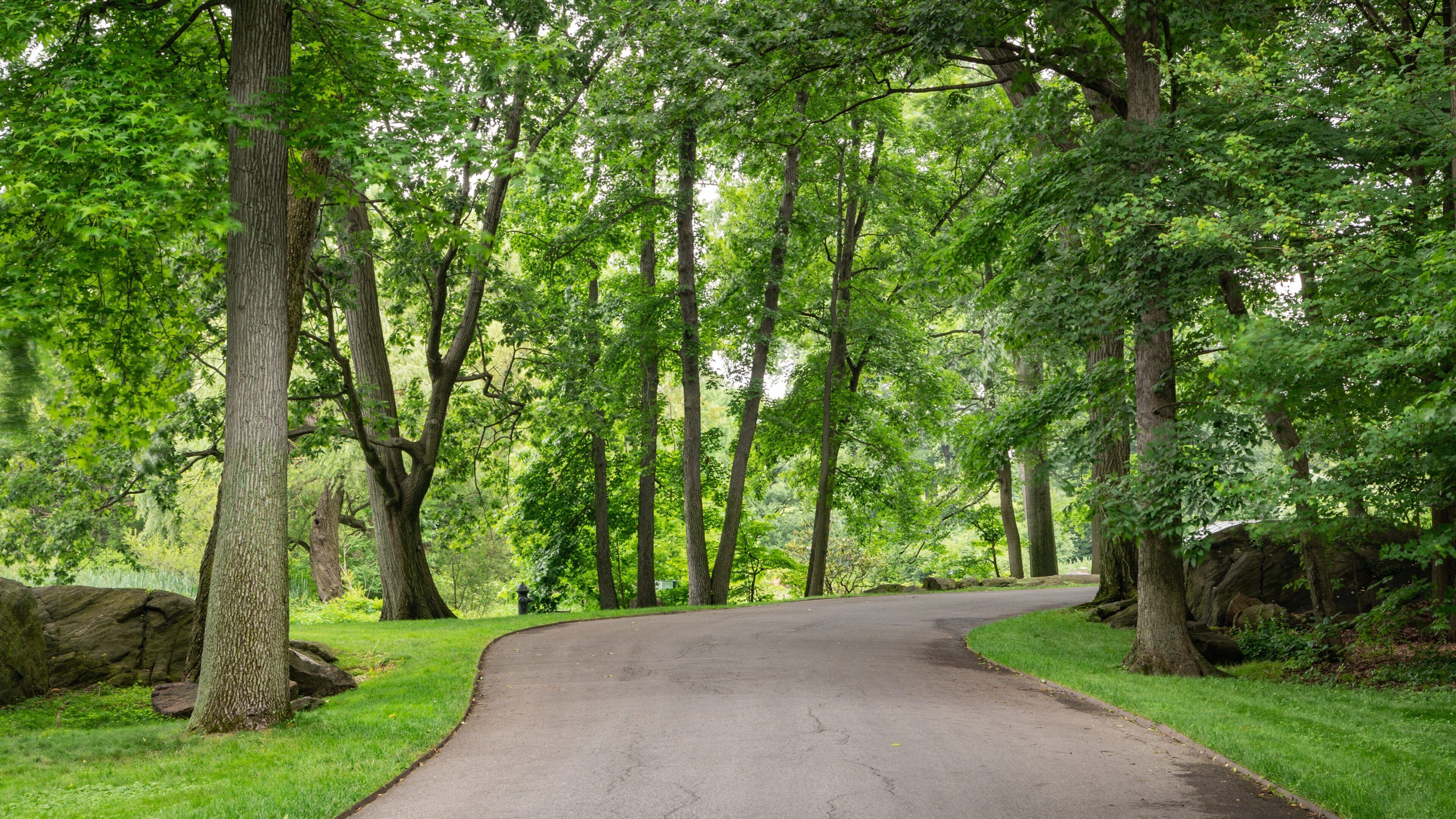 New York Botanical Gardens showing a garden