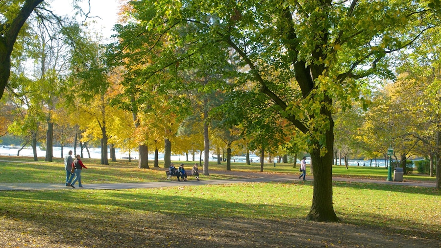 Niagara Falls State Park featuring a park