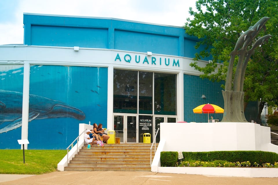 Un bâtiment abritant un aquarium, orné d’une fresque représentant des baleines sur un de ses murs, avec un parasol jaune et un escalier menant à l’entrée.