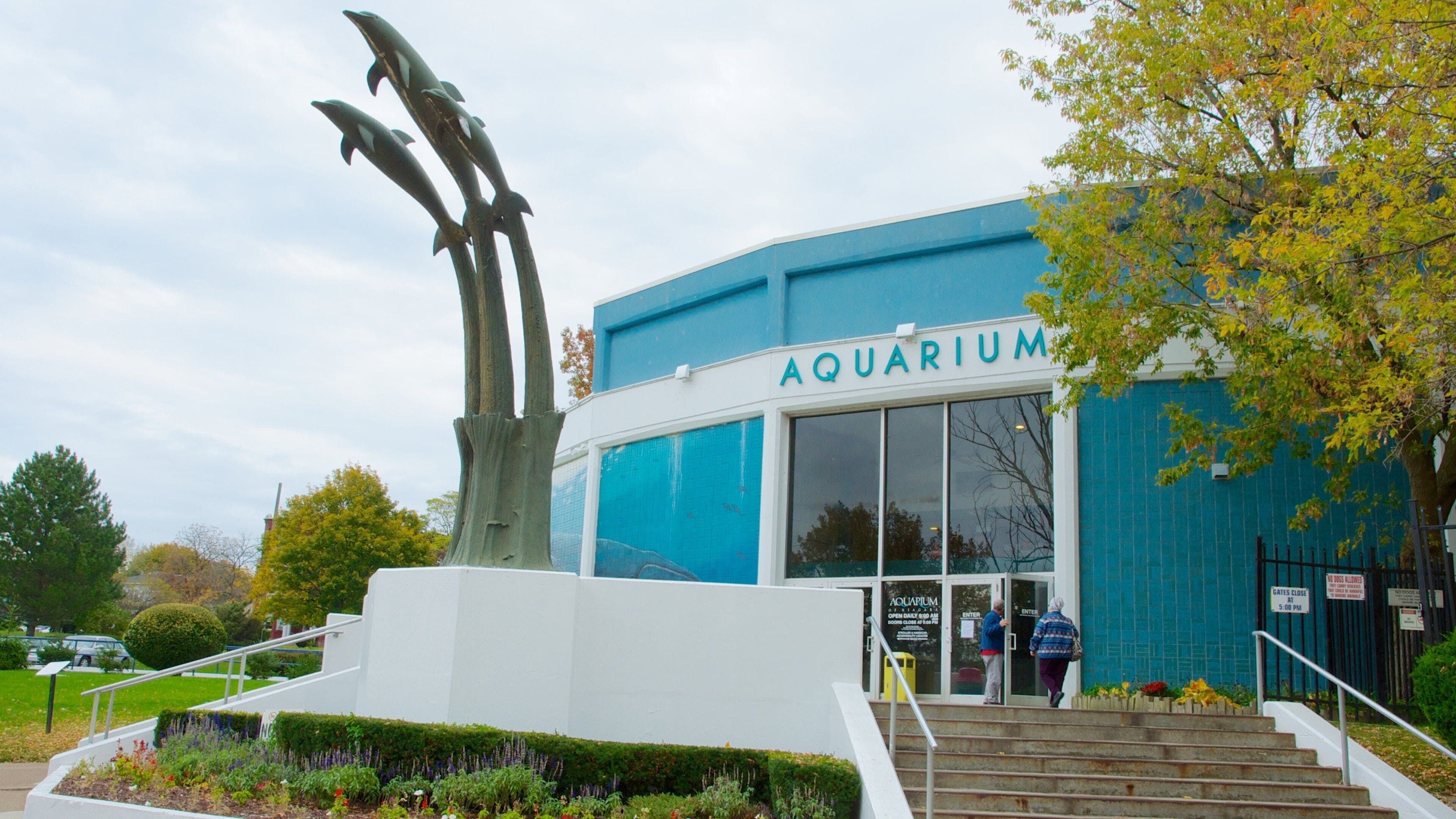 Aquarium of Niagara