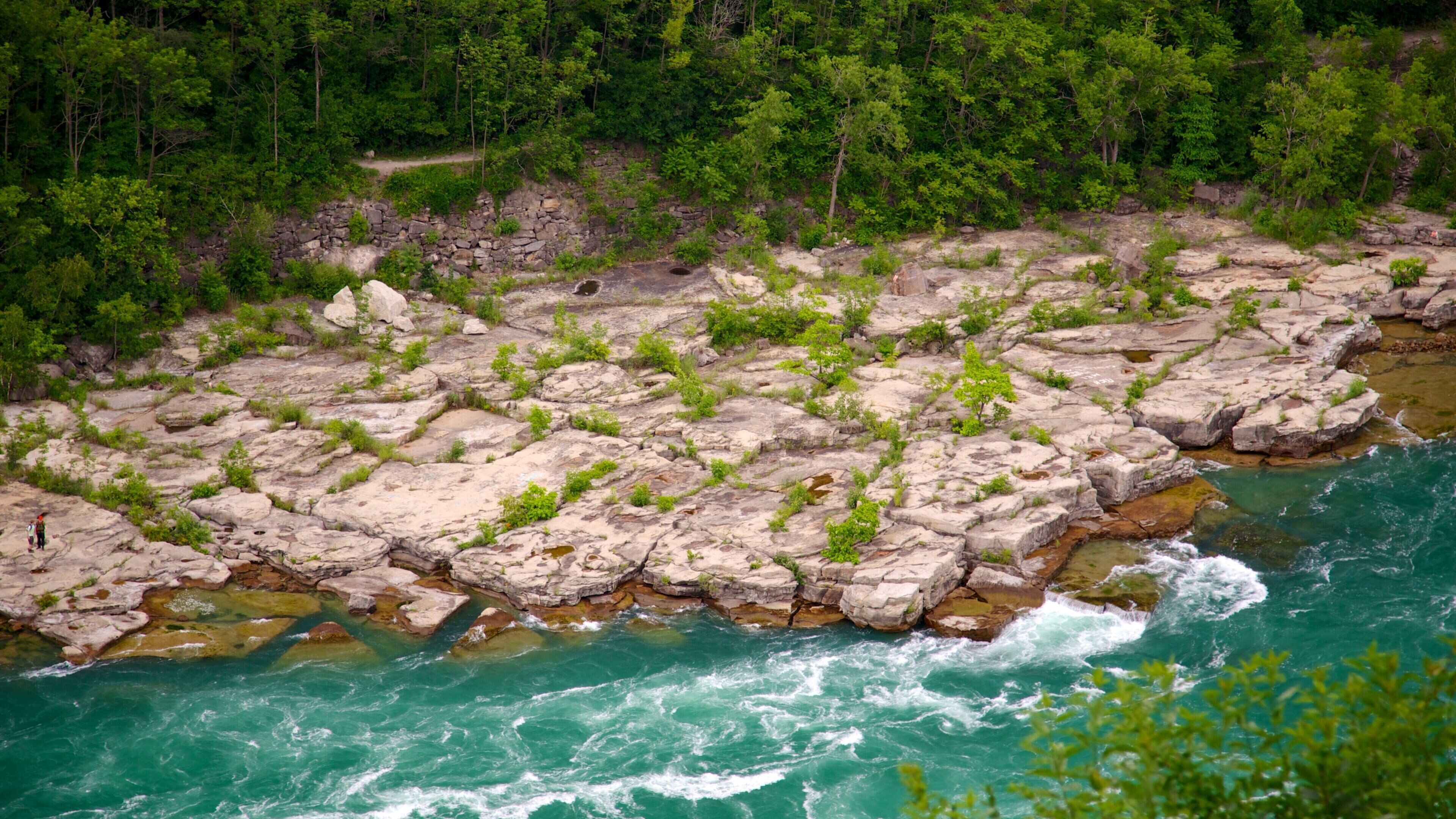 Whirlpool State Park showing a river or creek, a garden and landscape views