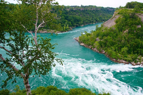 Whirlpool State Park which includes a park, landscape views and a gorge or canyon