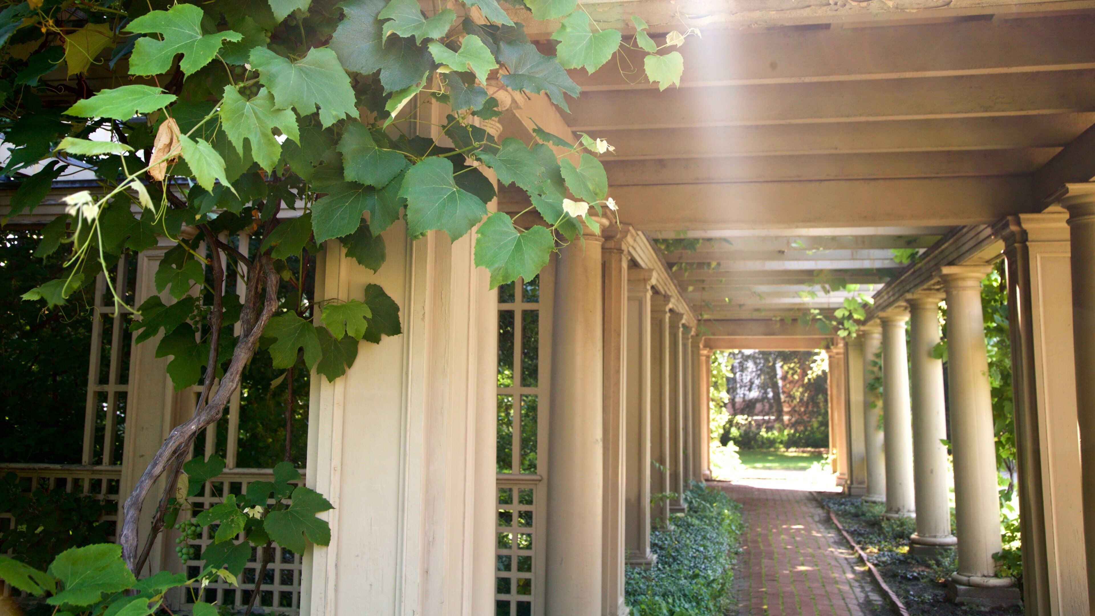 George Eastman Museum showing a park