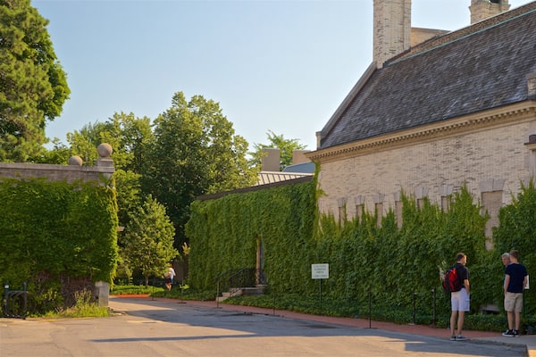 George Eastman House que incluye escenas cotidianas y también un grupo pequeño de personas