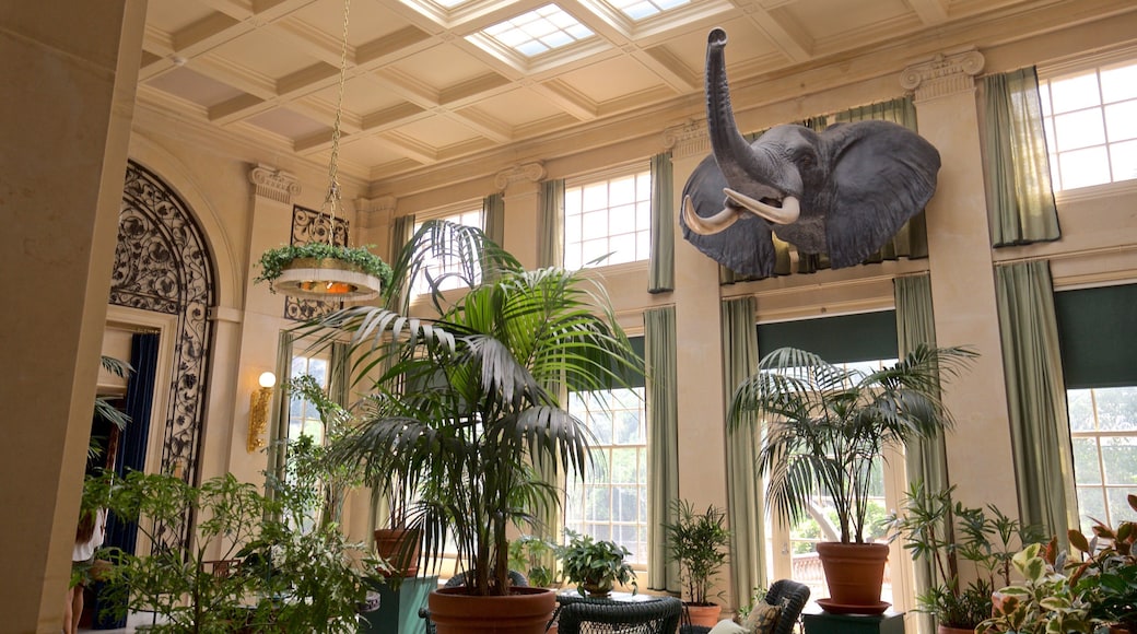 George Eastman House montrant vues intérieures