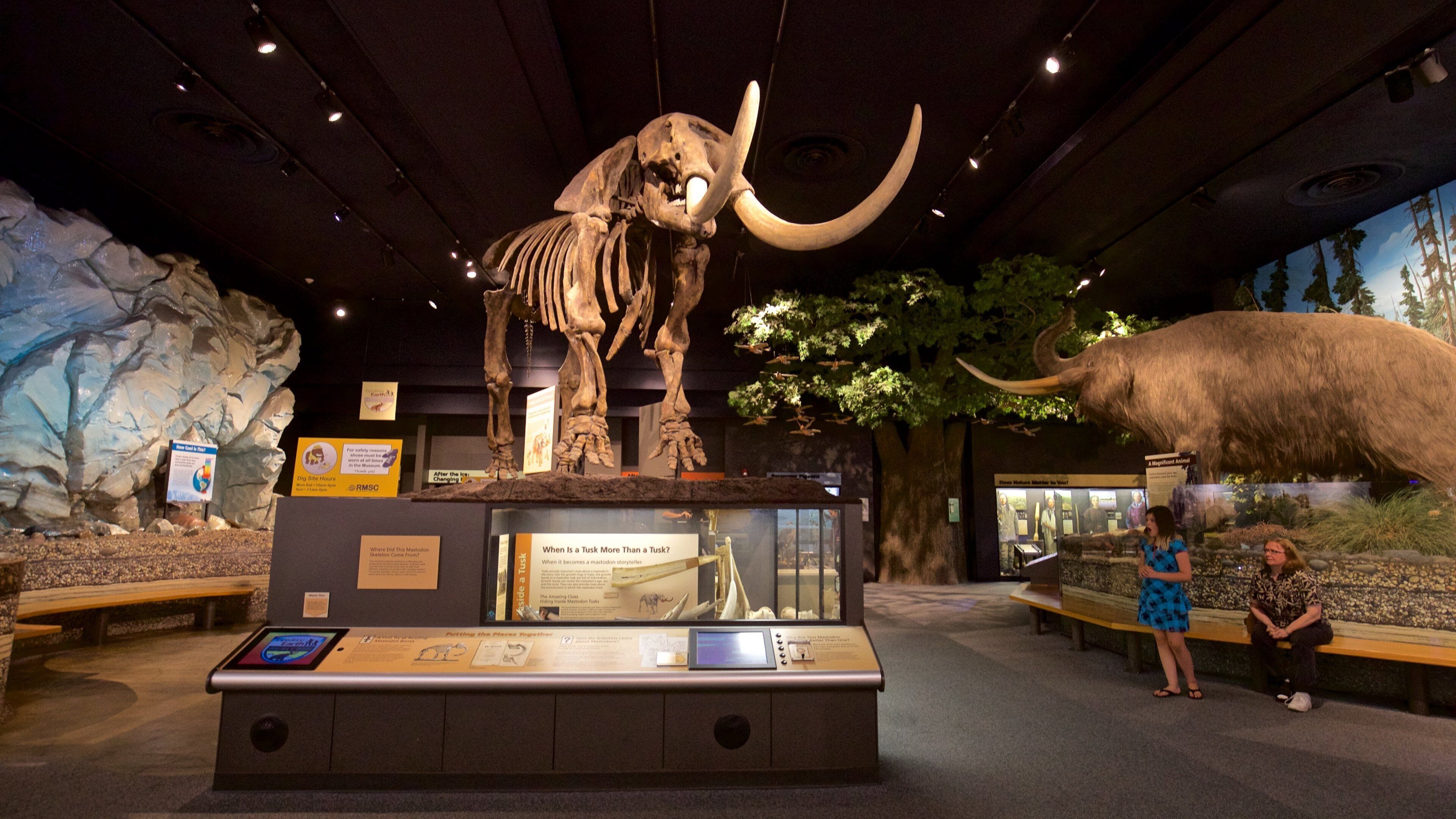 Rochester Museum and Science Center featuring interior views