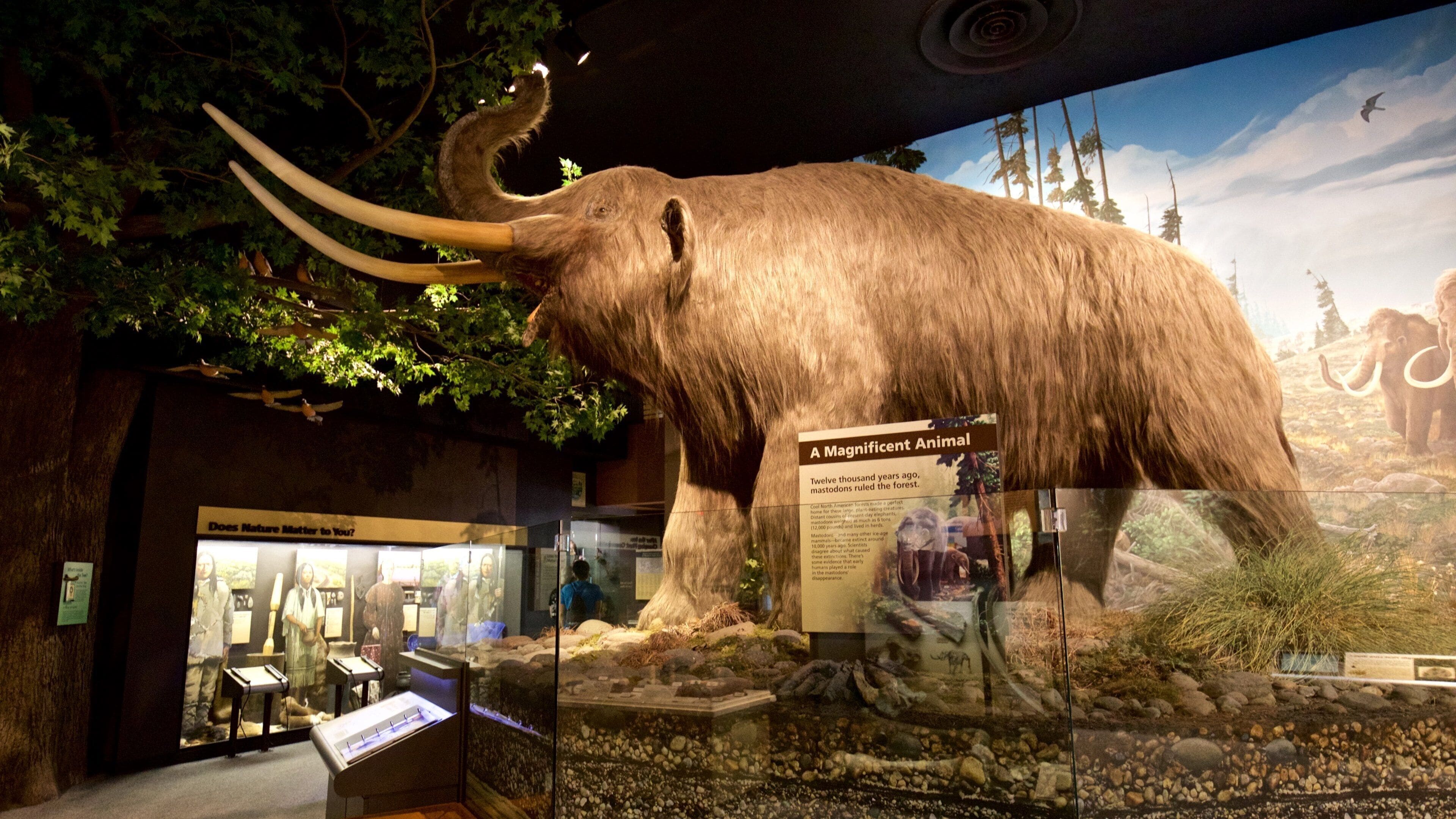 Rochester Museum and Science Center ofreciendo vistas de interior