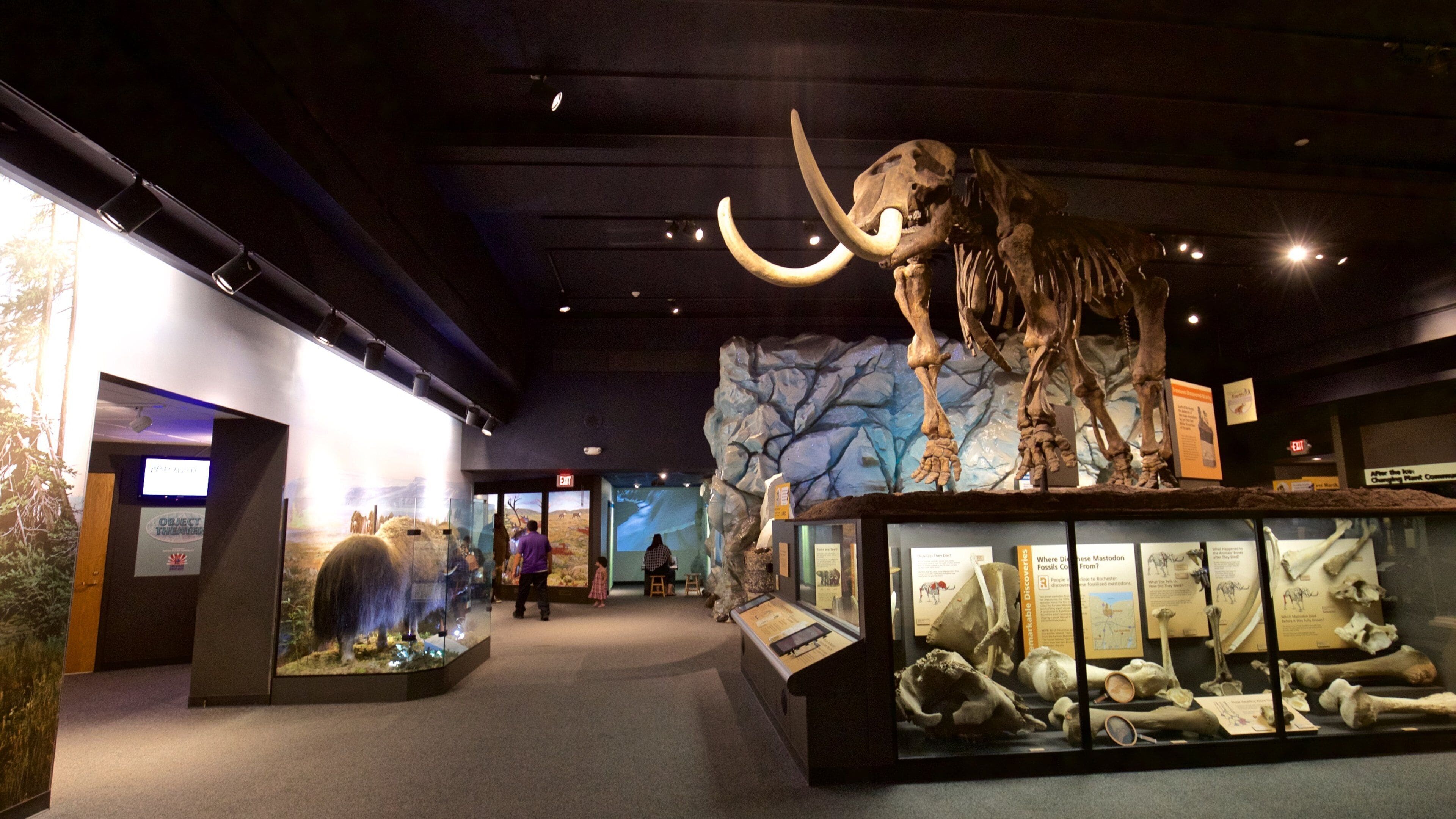 Rochester Museum and Science Center mostrando vistas interiores