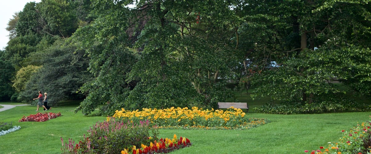 สวน Highland เนื้อเรื่องที่ สวนสาธารณะ, ดอกไม้ป่า และ ดอกไม้