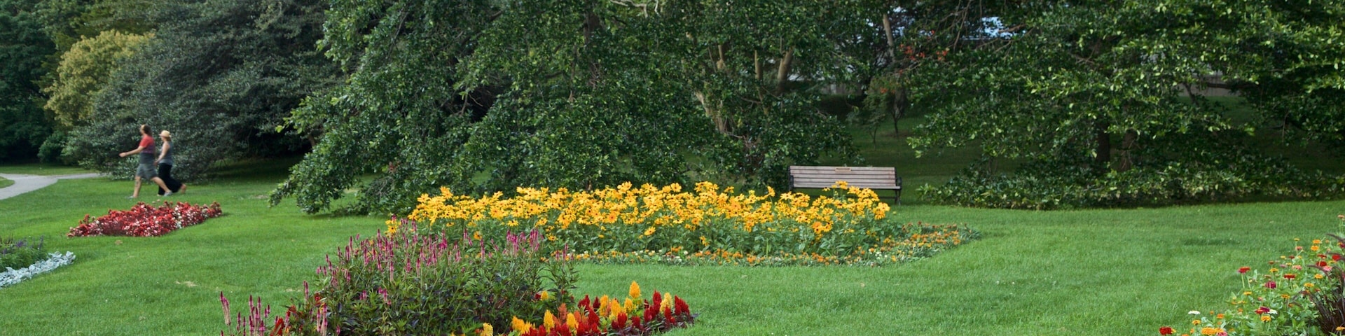 Highland Park das einen Park, Blumen und Wildblumen