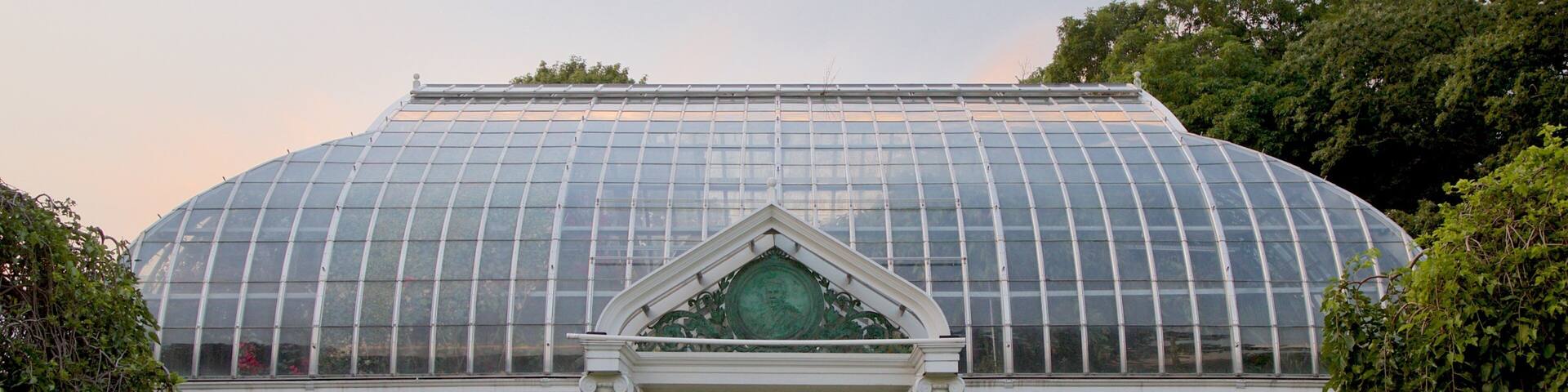 Highland Park showing a sunset