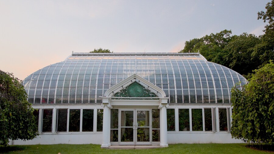 Highland Park showing a sunset