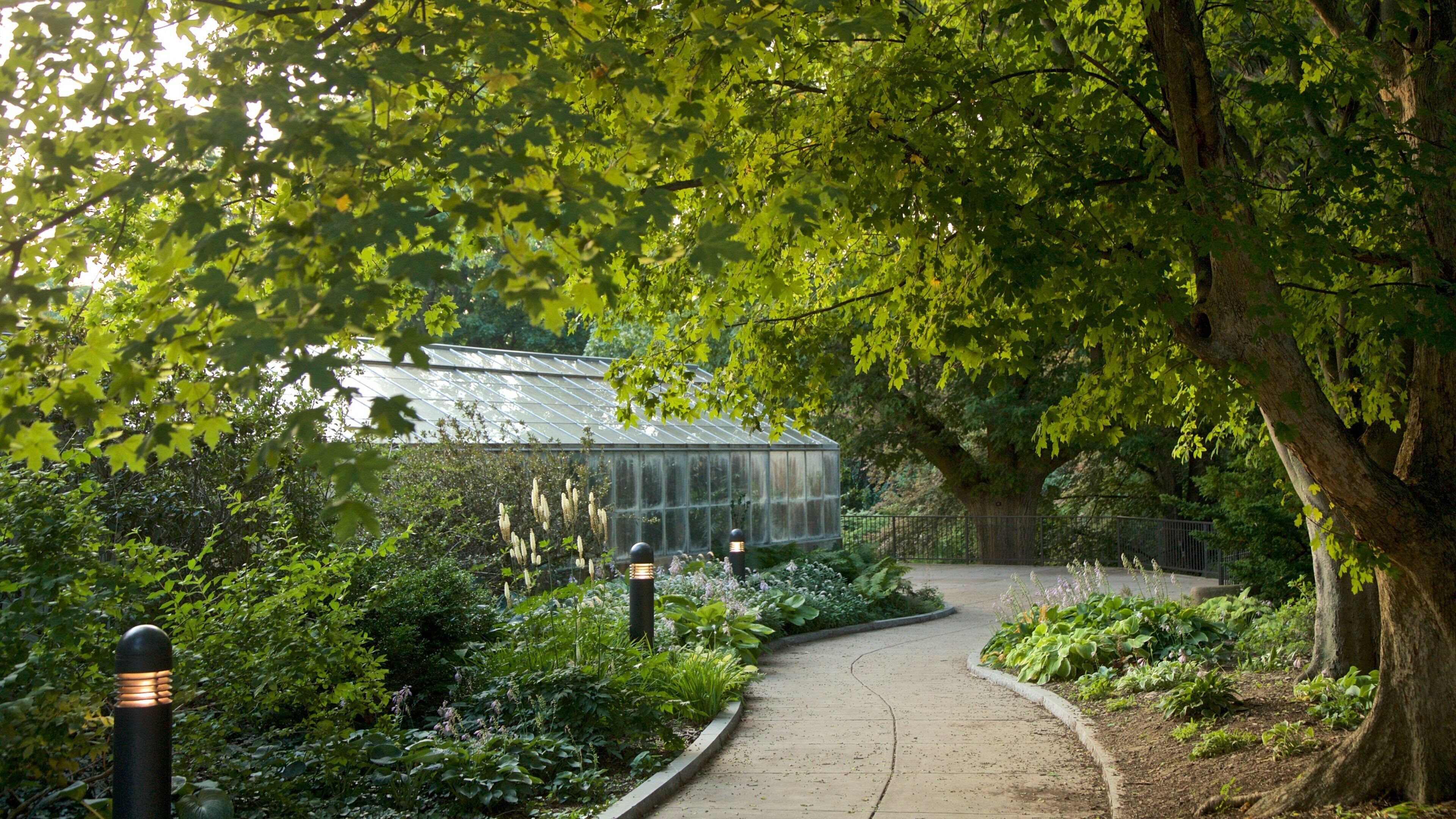 Highland Park bevat een park