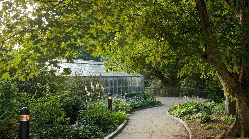 Highland Park bevat een park