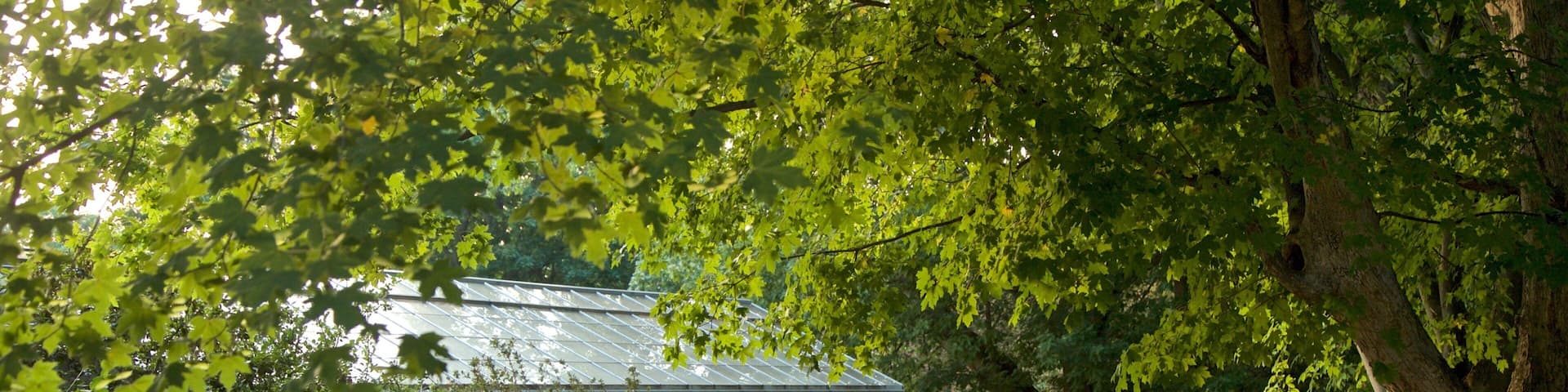 Highland Park showing a garden