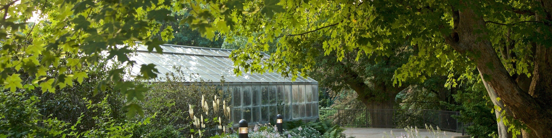 Highland Park mostrando um parque