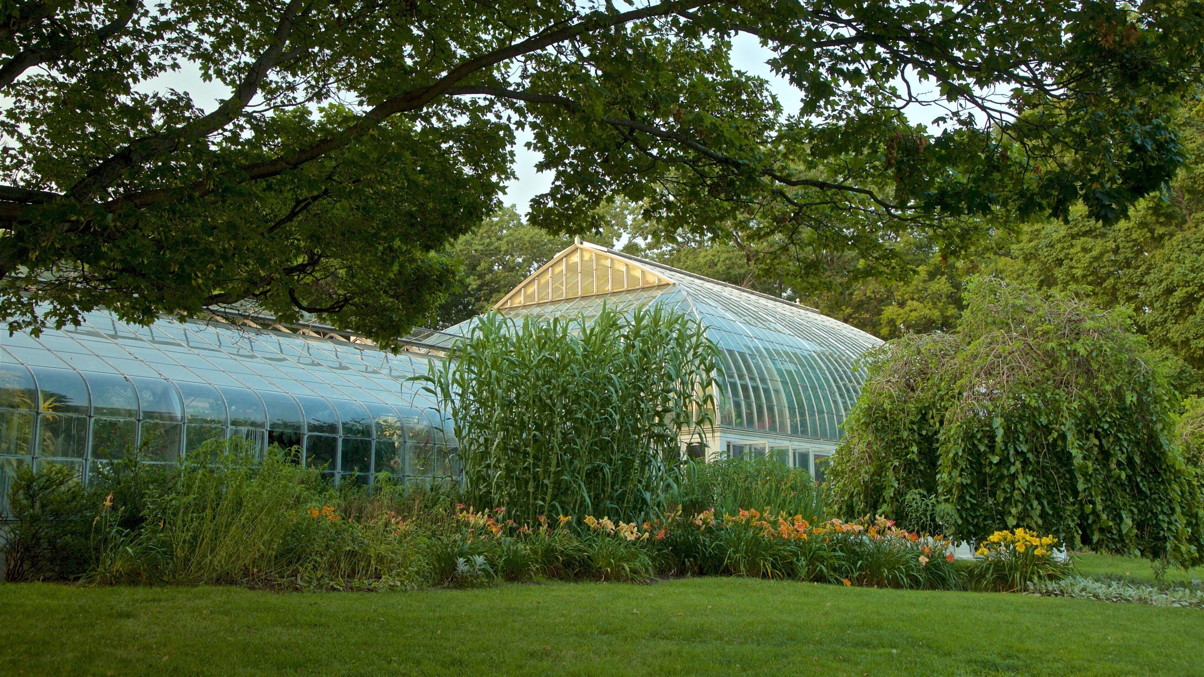 Highland Park featuring wild flowers and a garden