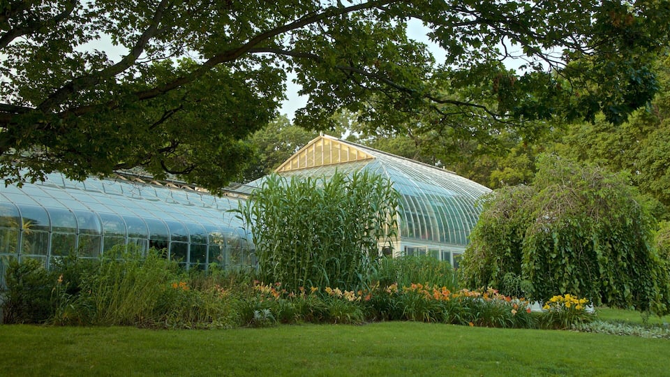 Highland Park featuring wild flowers and a park