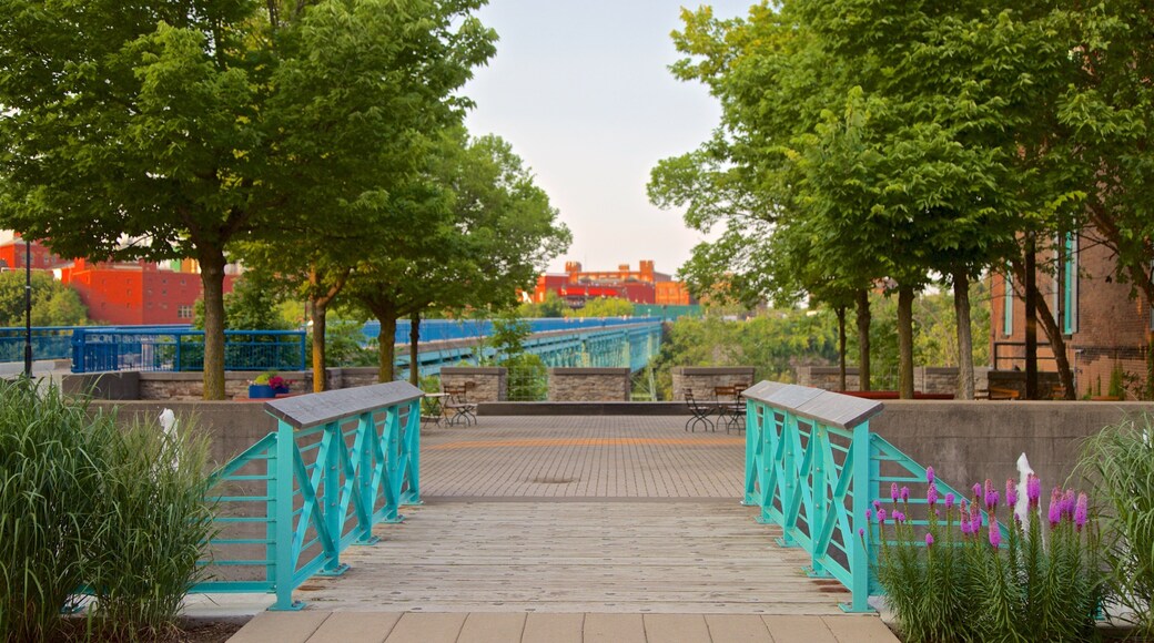 Genesee River\'s High Falls showing a garden