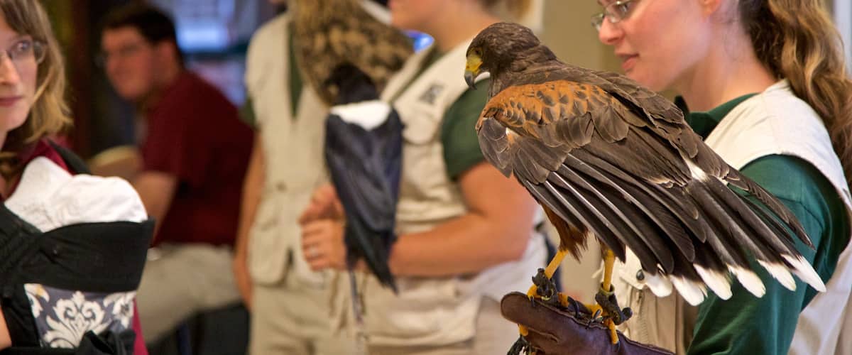 Rosamond Gifford Zoo featuring bird life and zoo animals as well as an individual femail