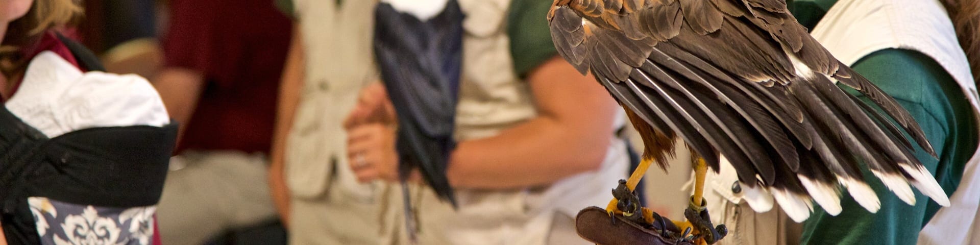 Rosamond Gifford Zoo featuring bird life and zoo animals as well as an individual femail