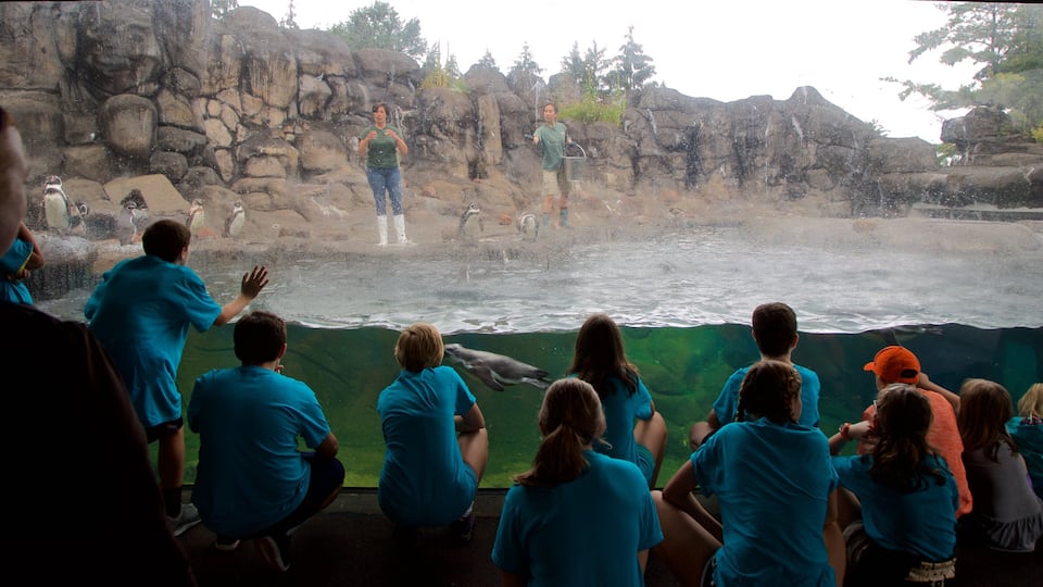 Rosamond Gifford Zoo which includes marine life as well as a small group of people
