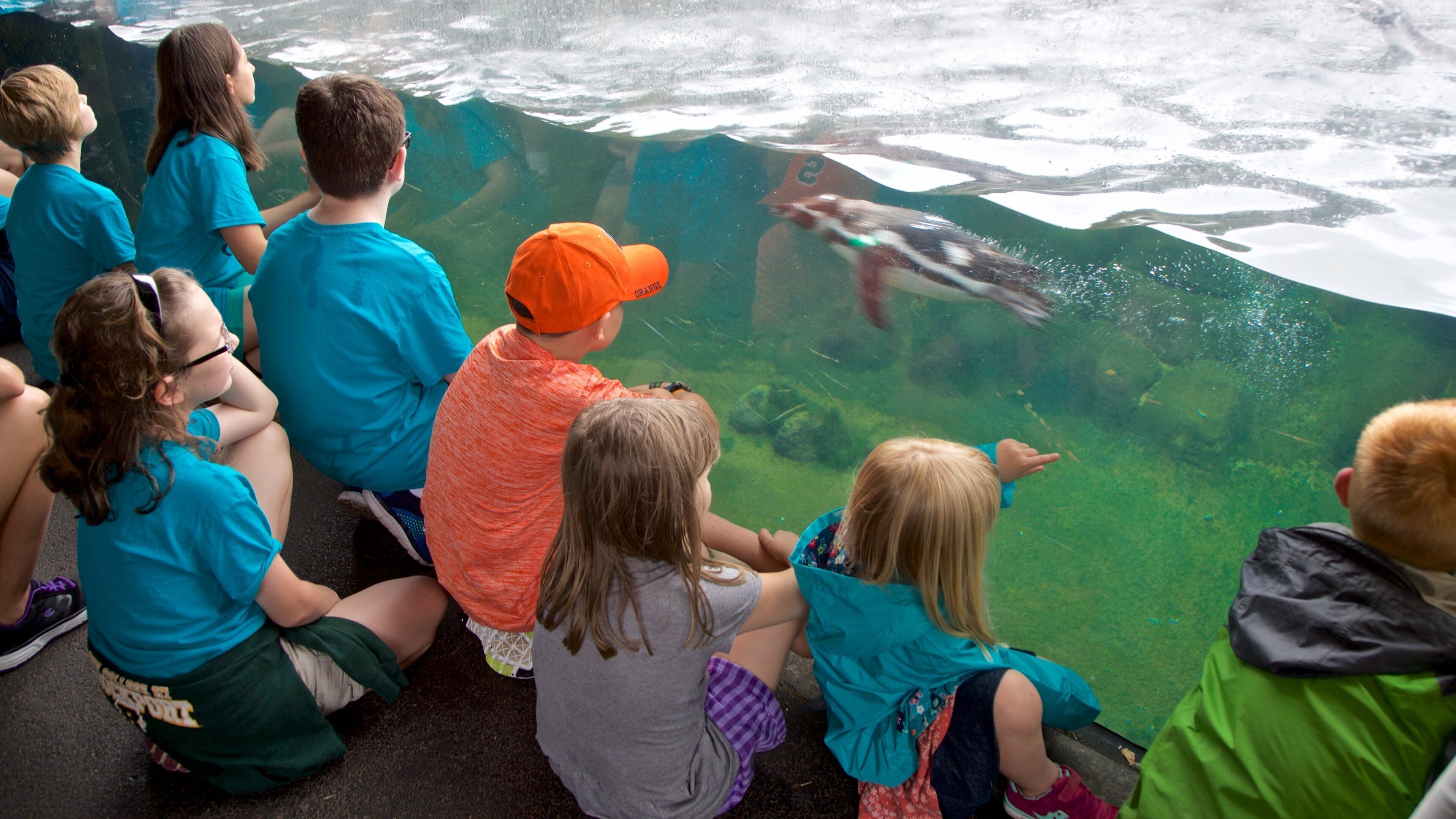 Rosamond Gifford Zoo que incluye vida marina y también niños