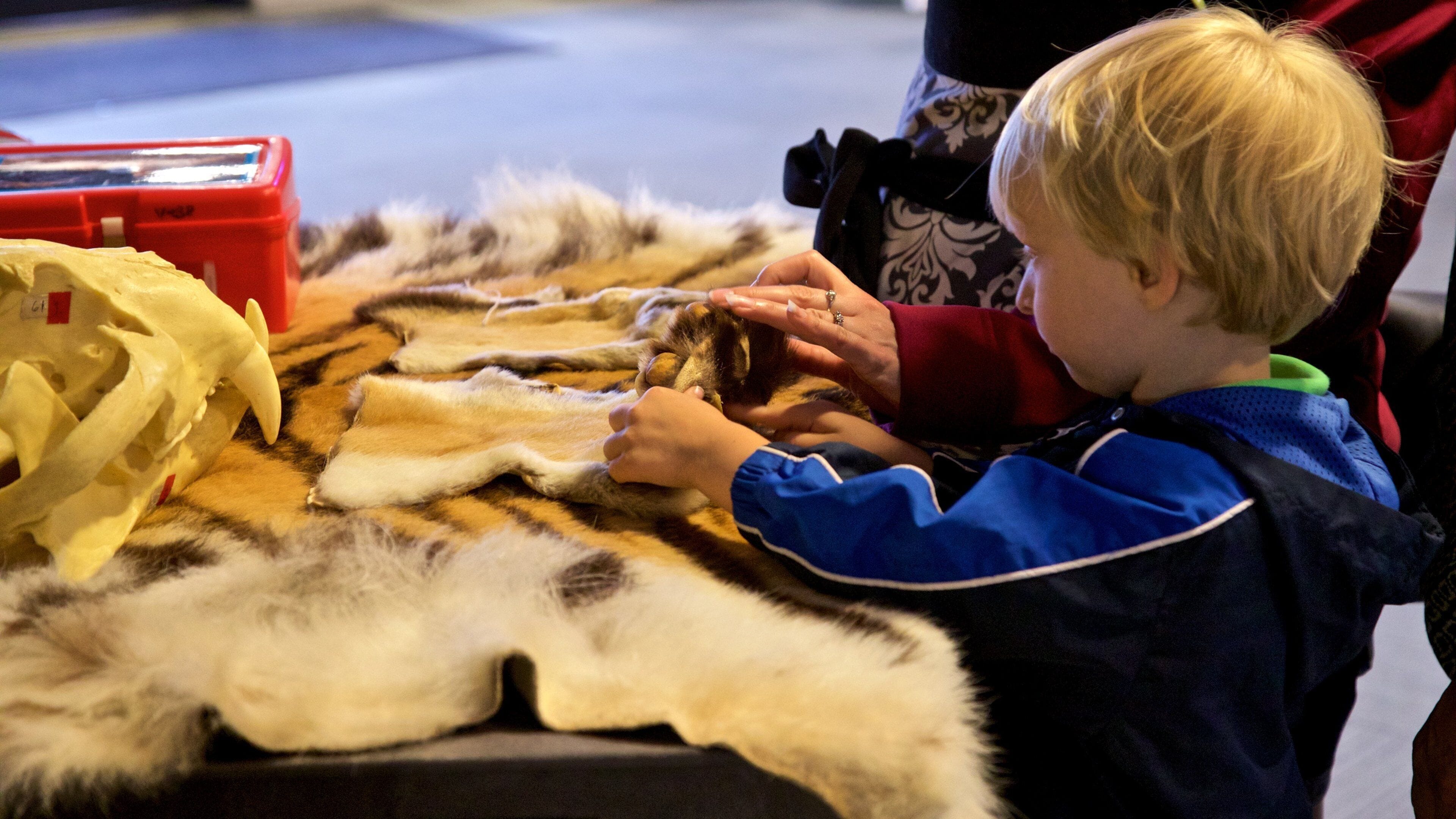 Rosamond Gifford Zoo mettant en vedette vues intérieures aussi bien que enfant