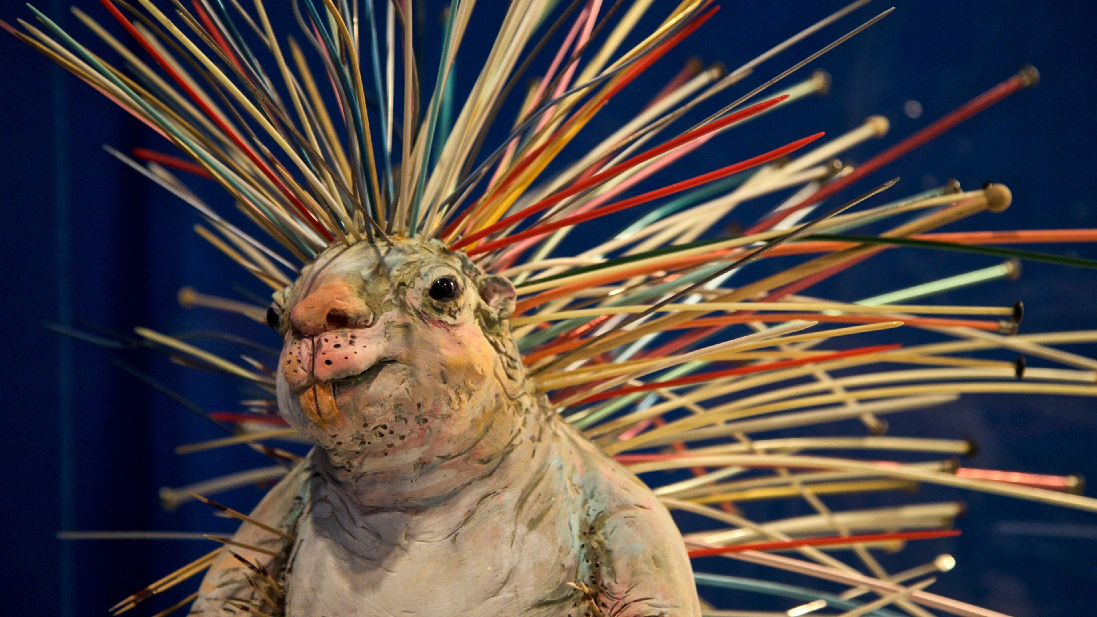 Everson Museum of Art featuring interior views and art